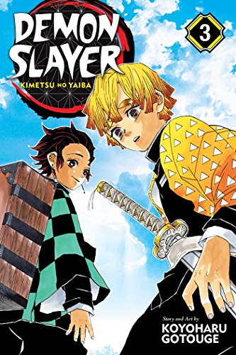 DEMON SLAYER: KIMETSU NO YAIBA, VOL. 3 | COD