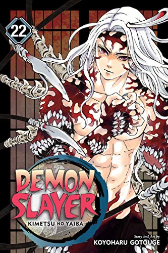 Demonslayer : Kimetsu No Yaiba, Vol. 22 | COD